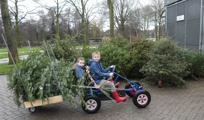 Twee jeugdige Purmerenders hadden het goed bekeken. Zij brachten de bomen met een aanhanger achter hun skelter.