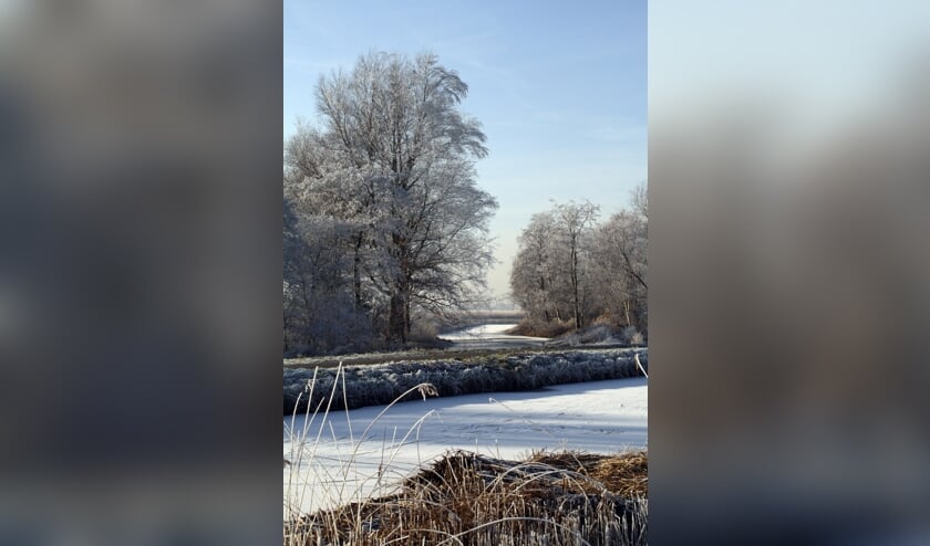 Zonder bomen geen leven op aarde... Maar wat weten wij er eigenlijk over?