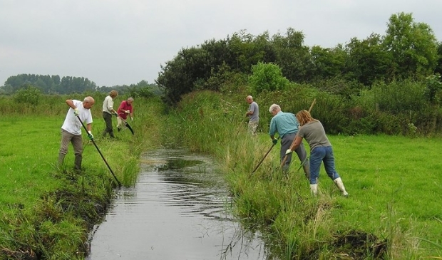 <p>Een schone sloot is nodig om het water snel af te kunnen voeren naar gemalen tijdens het storm- en regenseizoen. </p>
