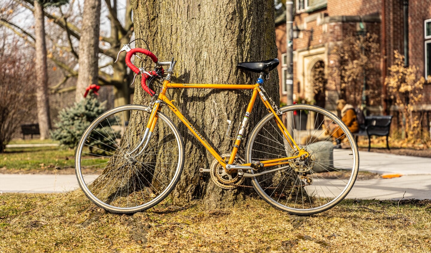 Gemeente kiest voor groen in plaats van de fiets.