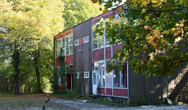 <p>De oude mavo staat er troosteloos bij. </p>