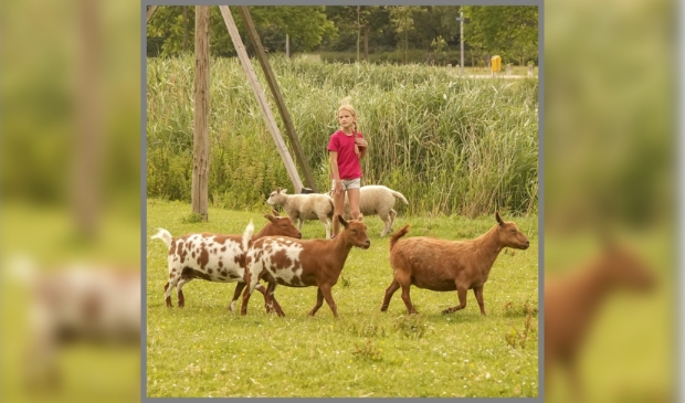 <p>De duurzame zorgboerderij wil actief bijdragen aan een leefbare en sociale wereld. </p>