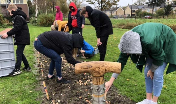 <p>Leerlingen van het Clusius College gaven vorig jaar op het grasveld langs de Westtangent het startschot voor de Plantestafette.</p>