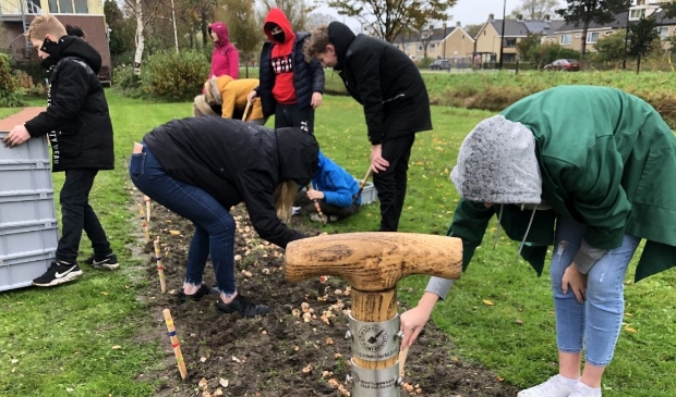 Leerlingen van het Clusius College geven op het grasveld langs de Westtangent het startschot voor de Plantestafette.