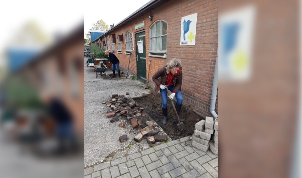 <p>Steenbreek voor de geveltuintjes!</p>