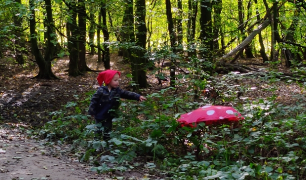 <p>Met extra kabouterspelletjes en slingers werd het kabouterpad weer in gebruik genomen. </p>