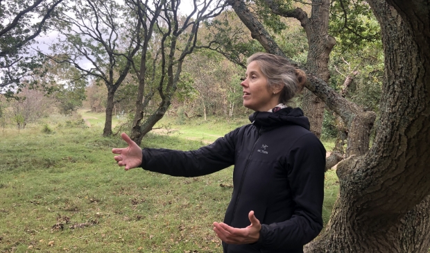 <p>Pauline zingt in de duinen.</p>