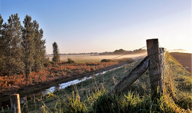 <p>Westfriese Omringdijk in de buurt van Wijdenes.</p>