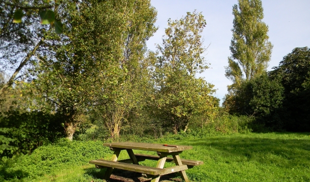 <p>Picknickbankjes zijn een doorn in het oog van sommige inwoners van Edam. </p>