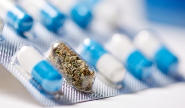 <p>Praat mee over het drugsbeleid in Nederland.</p>