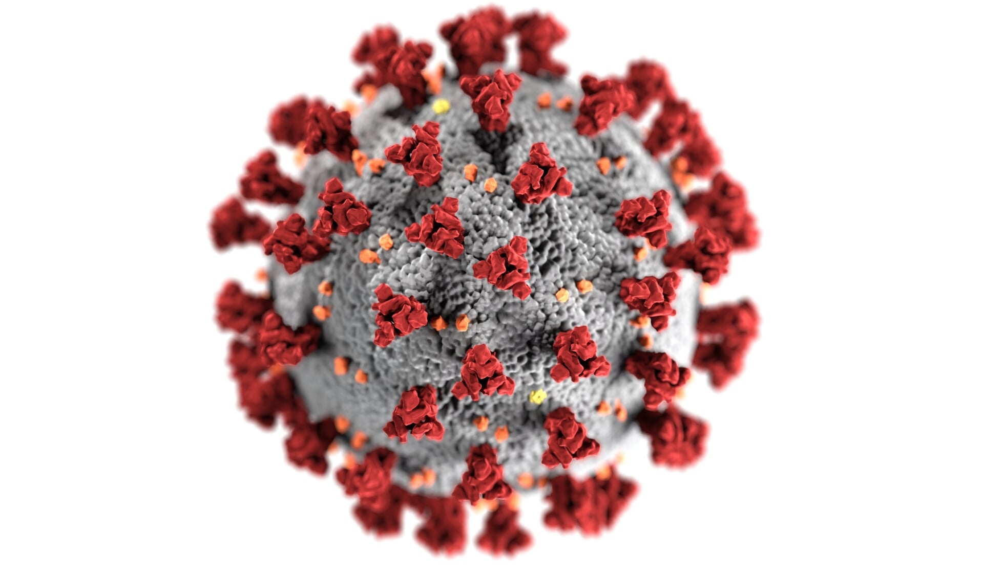 Impressie Coronavirus.