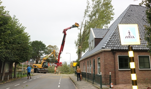 <p>Veel hout ging door de versnipperaar.</p>