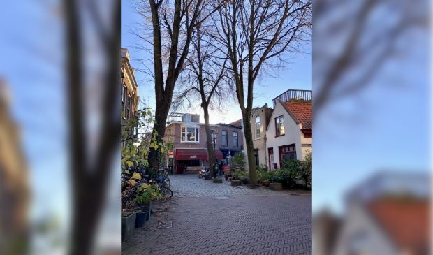 Een autoverbod in de hele Vijfhoek, ja of nee?