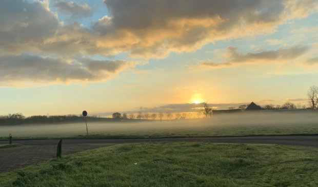<p>Mist die hangt over grazige weiden.</p>