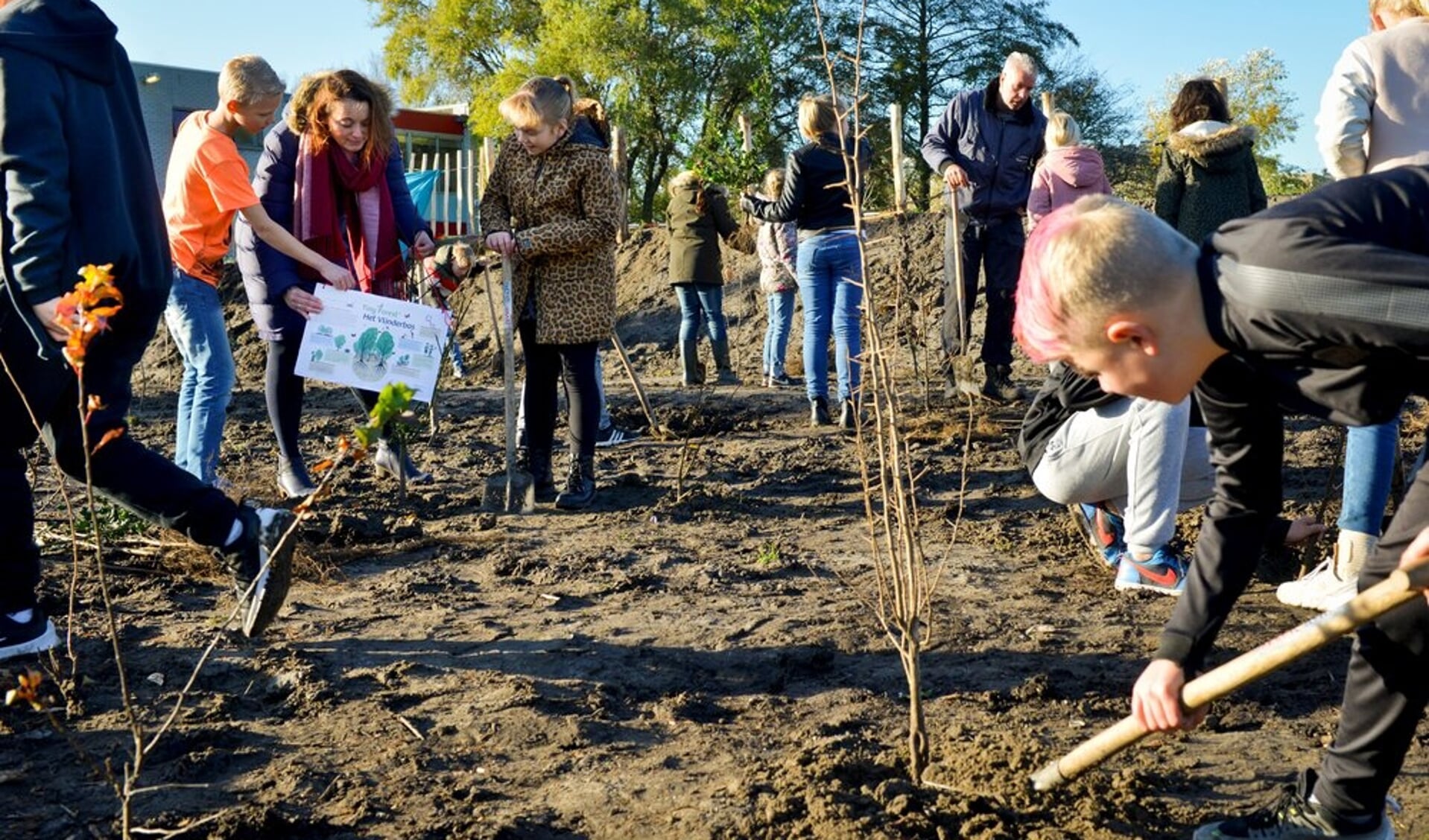 Basisschool de Cocon in Daalmeer plant het Tiny Forest ‘Het Vlinderbos’ 