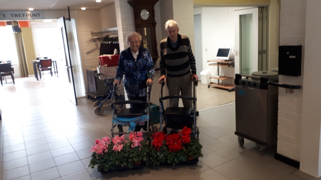 <p>Blij met aandacht en een cyclaam.</p>