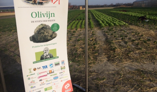 <p>Pluk een gratis krop sla in T Zand.</p>