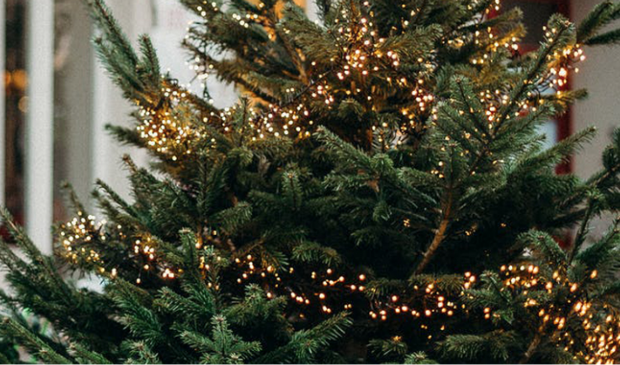 <p>Kerstdiner in eigen tuin.</p>