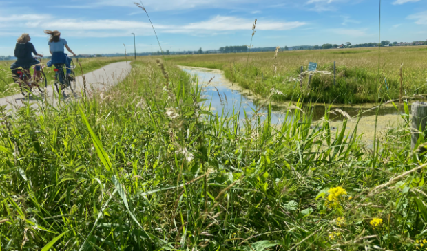 <p>Uitzicht over het unieke weide gebied waar de zuidoostroute is geprojecteerd, in de jaren na realisatie ongetwijfeld aangevuld met woningbouw.</p>