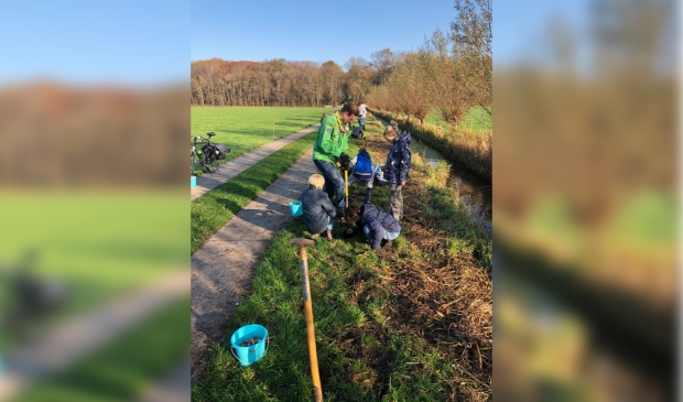 <p>Scouts planten samen met hun leiding bloembollen langs het pad naar landgoed Ter Coulster. Op de voorgrond de plantschop met de plaatjes van de deelnemende gemeenten aan de plantestafette.</p>