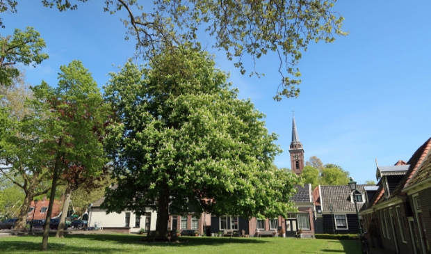 <p>Een speurtocht door Middenbeemster levert prachtige plaatjes op. </p>