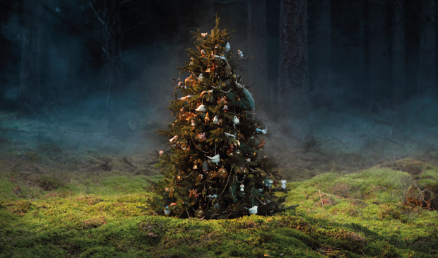 Collectie Magical Forest