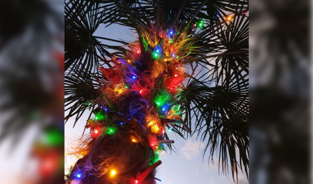 <p>Jolanda Hamersma haalde de tropische kerstsfeer naar haart achtertuin.</p>
