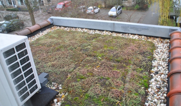 <p>De zonnepanelenactie is verlengd tot en met 21 december.</p>