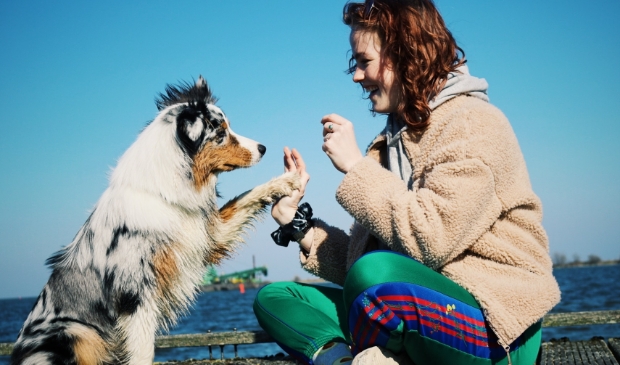<p>Indy wil graag haar eigen psychosociale hulphond opleiden. Wie helpt haar haar doel te bereiken?</p>