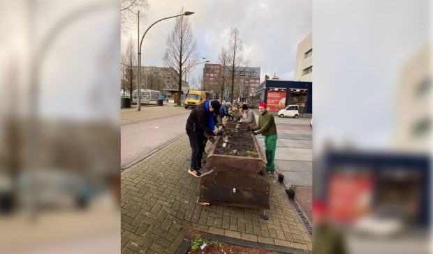 <p>Bewoners van het complex aan de Jan de Jonghkade onderhouden de plantenbakken zelf.</p>