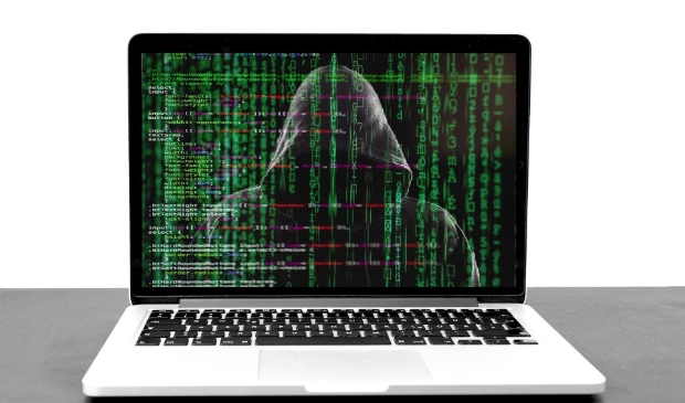 <p>Mede door de coronamaatregelen lijkt criminaliteit te verschuiven naar online. </p>