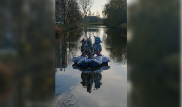 <p>De pinguïns van zwerfvuil.</p>