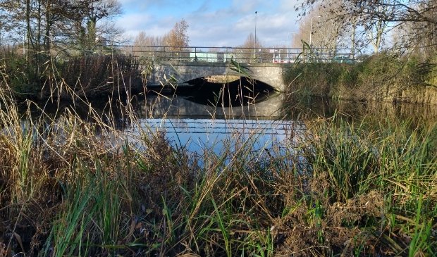 <p>Brug 1863 ligt er rustig bij, zich van geen kwaad bewust.</p>
