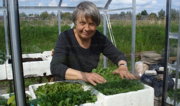 <p>Adri verzorgde met overgave haar moestuin in Landsmeer.</p>