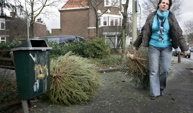<p>De bomen moeten in de periode van 4 tot en met 13 januari tijdens de ophaaldag voor 7.45 uur op de stoep worden gezet. </p>