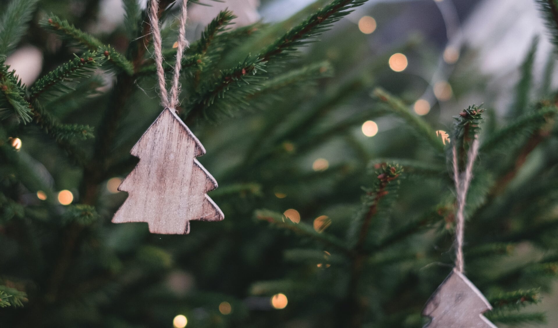 Een boom in huis halen kan vanaf 5 december op het dorpsplein in Ilpendam. 