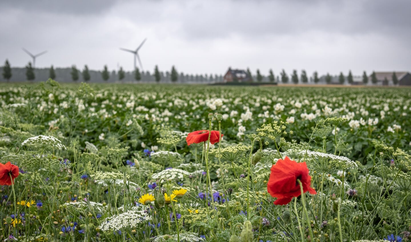 De biodiversiteit loopt terug.