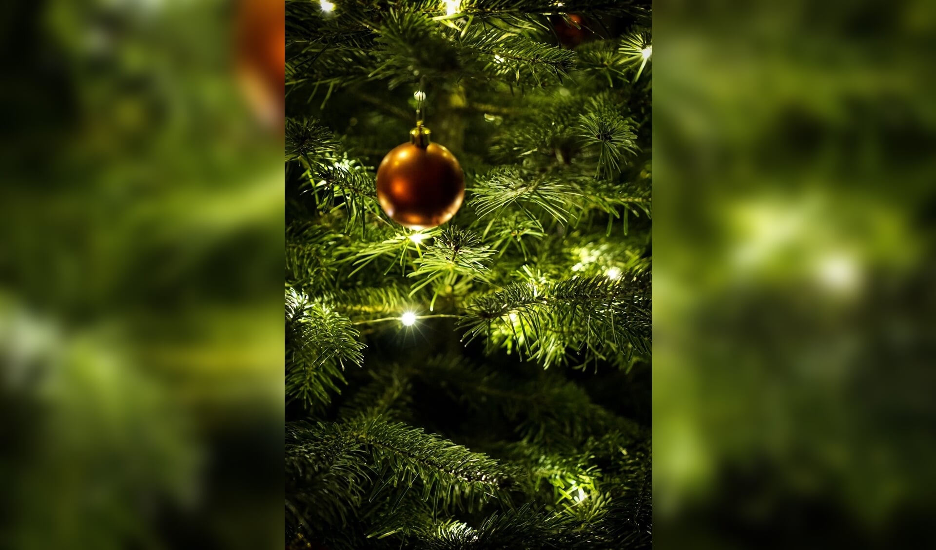 Breng licht in donkere tijden door je kerstboom buiten te zetten.