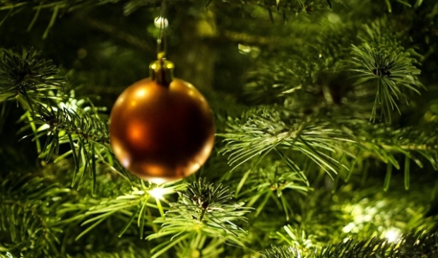 <p>Een kerstboom cadeau geven? Mooie kerstgedachte.</p>