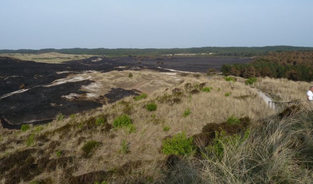 De expositie laat zien waar de branden waren en welke natuur verloren is gegaan.