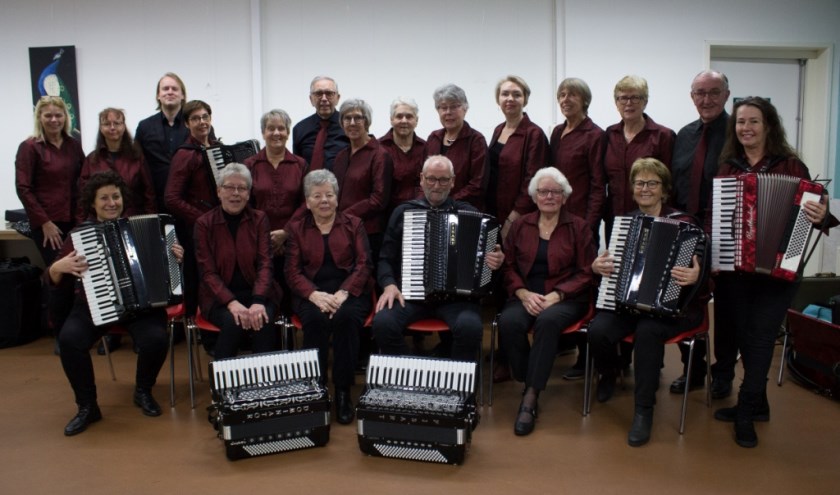 Vita Accordeonistica zoekt basaccordeonist.