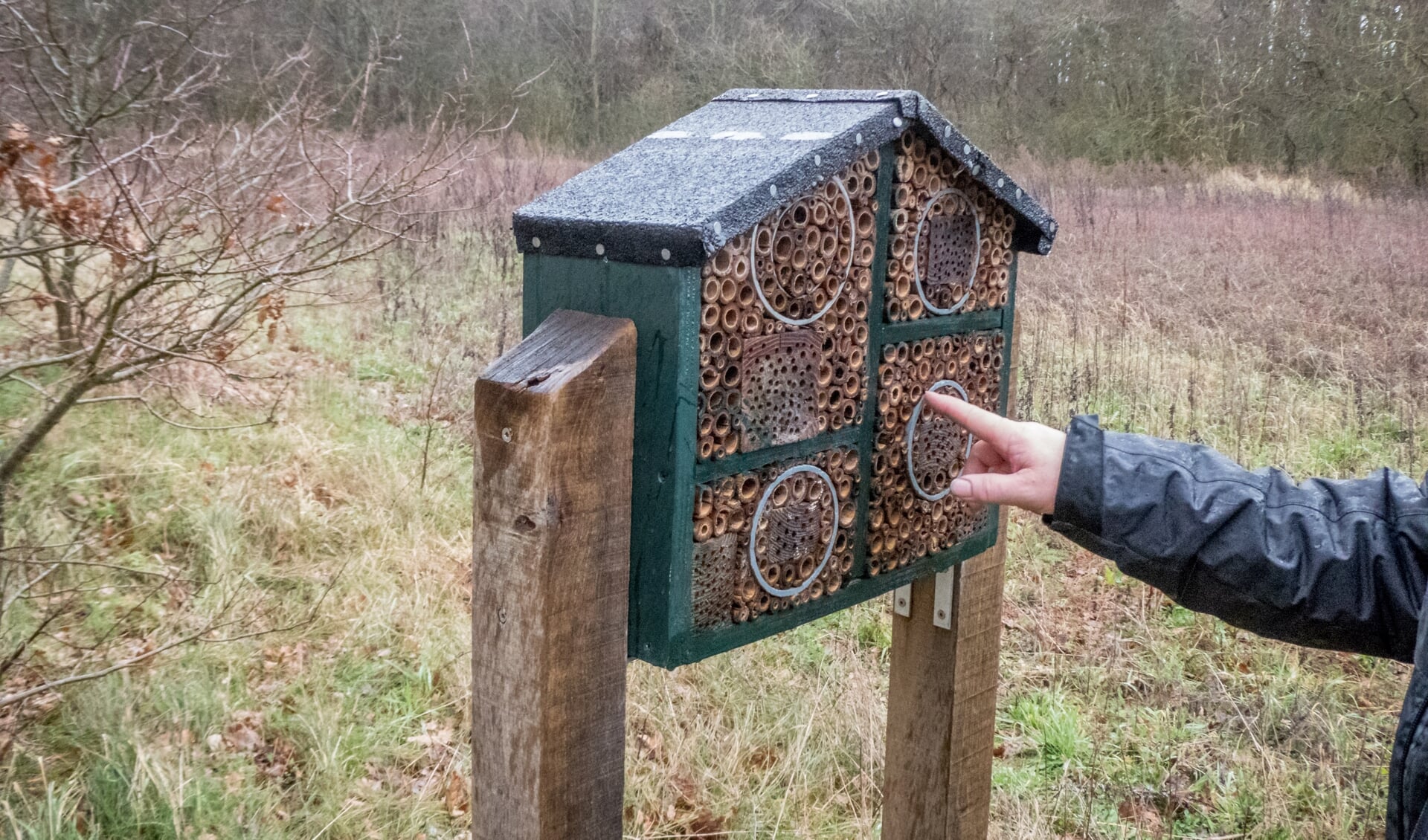 Dit insectenhotel staat in het bosgebied van Castricum. 