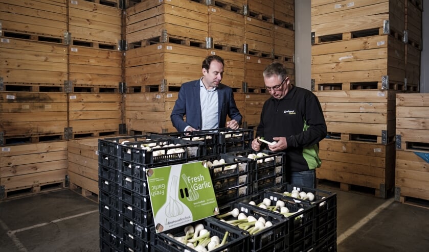 Kijkje bij Biesheuvel. Het is de bedoeling dat knoflookafval wordt verzameld, Muntjewerf het composteert en Teeuwen en Zonen het over zijn bollenland uitrijdt.
