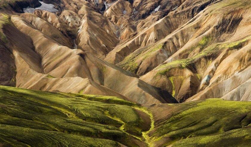 Prachtige foto's van natuurfotografe Ingeborg Deppe.