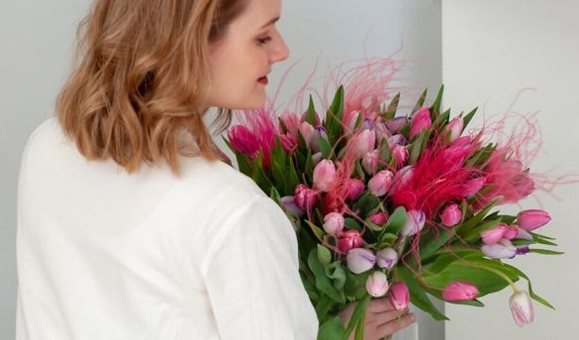Tulipa ´Dynasty´, ´First Class´, ´Aafke´, ´Flaming Flag´.
