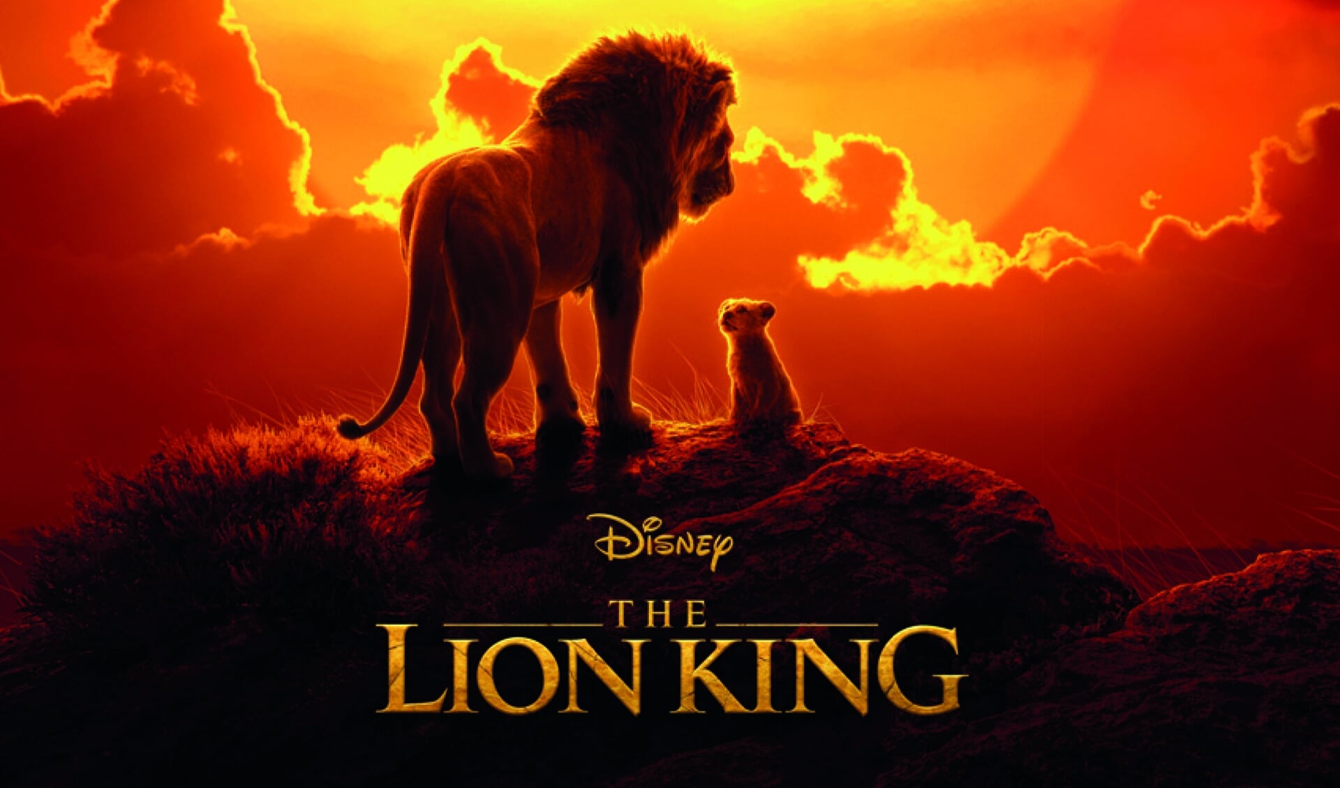 De film 'The Lion King'.