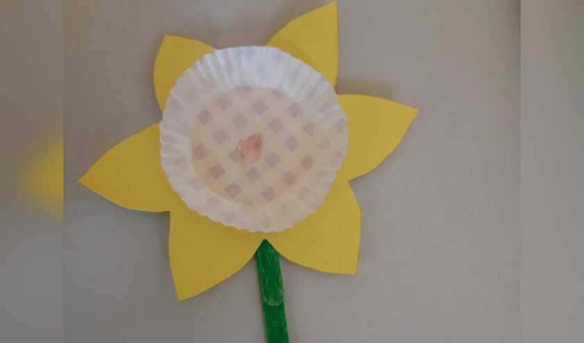 Maak zelf een prachtige narcis bij het MAK en haal het lentegevoel in huis.