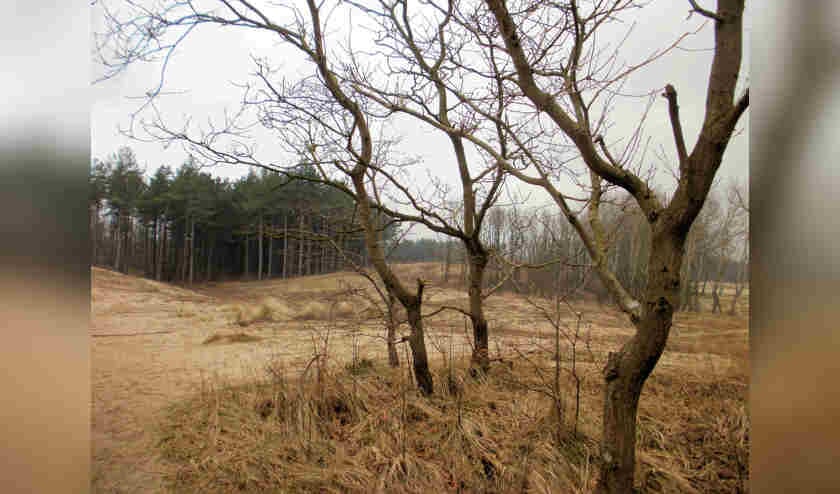 IVN-wandeling Wimmunummerduinen.