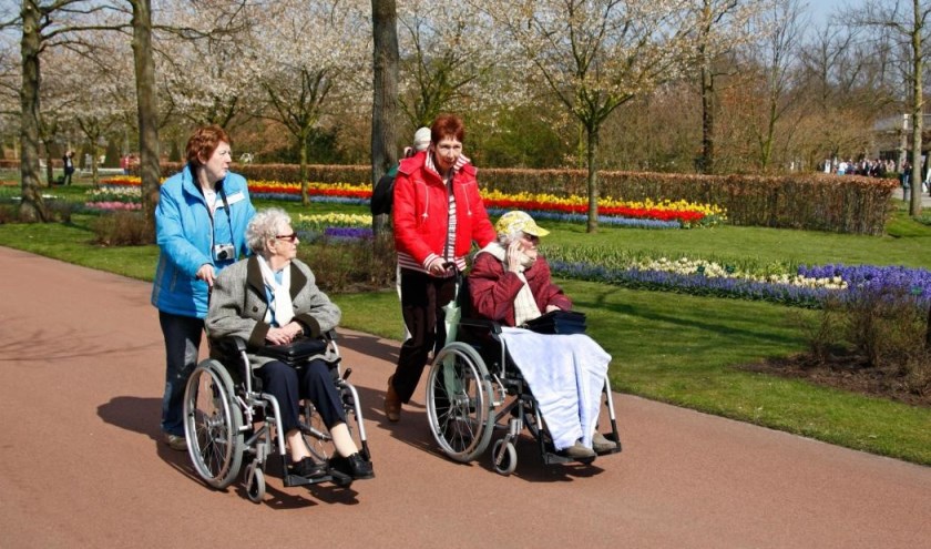 Wandelen in park