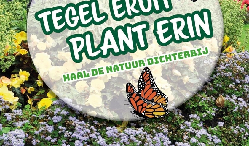 slogan tegel eruit plant erin
